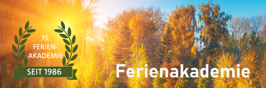 Herbstbild Ferienakademie 75 VA komprimiert3